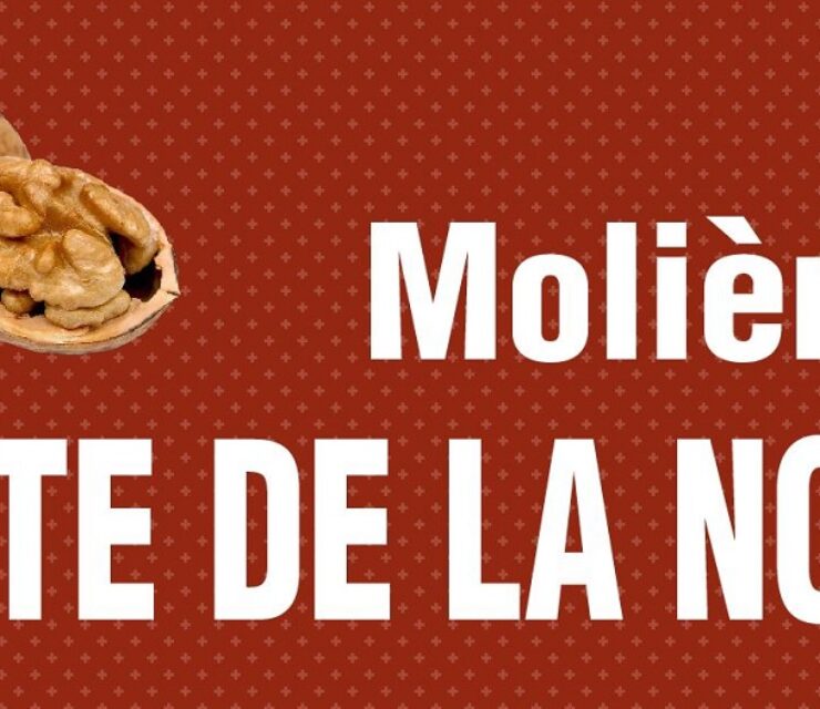 03 Novembre 2024 | Fête de la Noix à Molières (24)