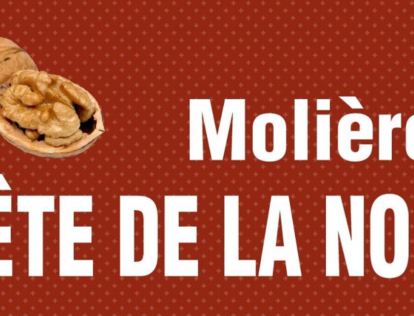 03 Novembre 2024 | Fête de la Noix à Molières (24)